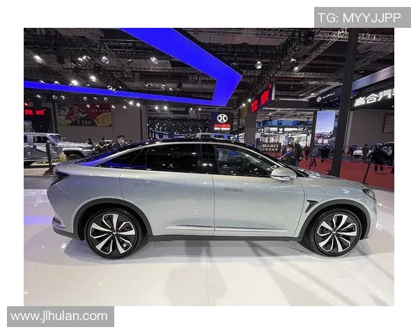 上海网球队的崛起与蜕变：城市联赛背后的奋斗与荣耀